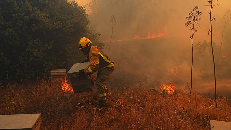 Video thumbnail for Climate warning: El Niño offers a glimpse of a deadlier, hotter future