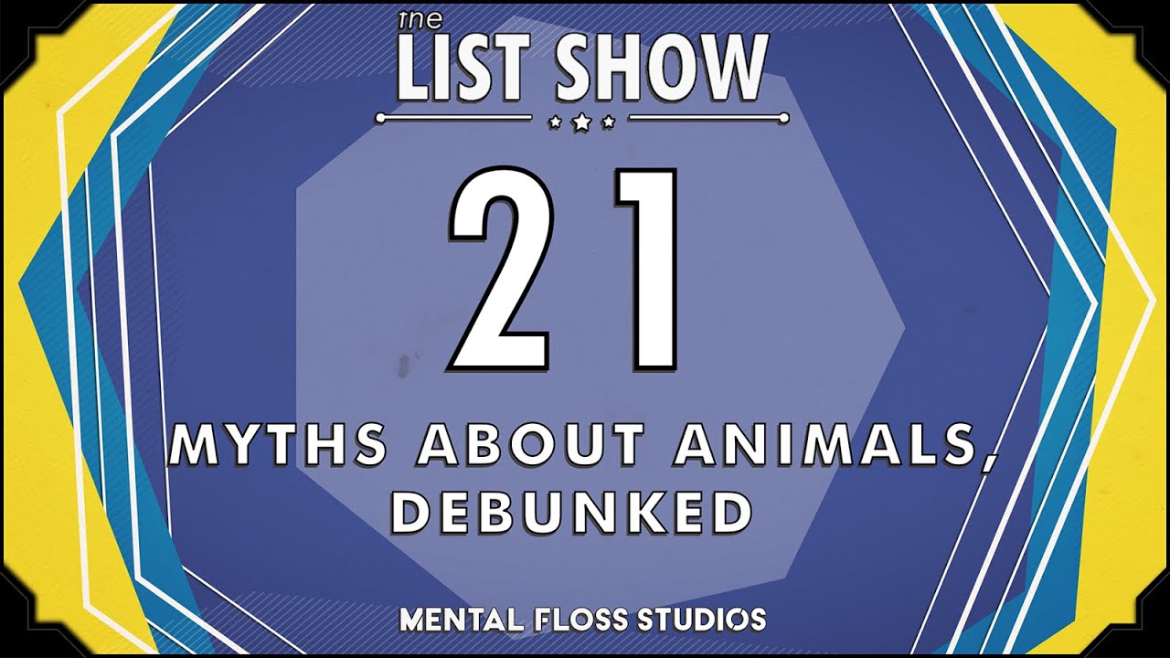 Video thumbnail for Dogs Don't See in Black and White and Other Animal Myths, Debunked | Mental Floss List Show | 528