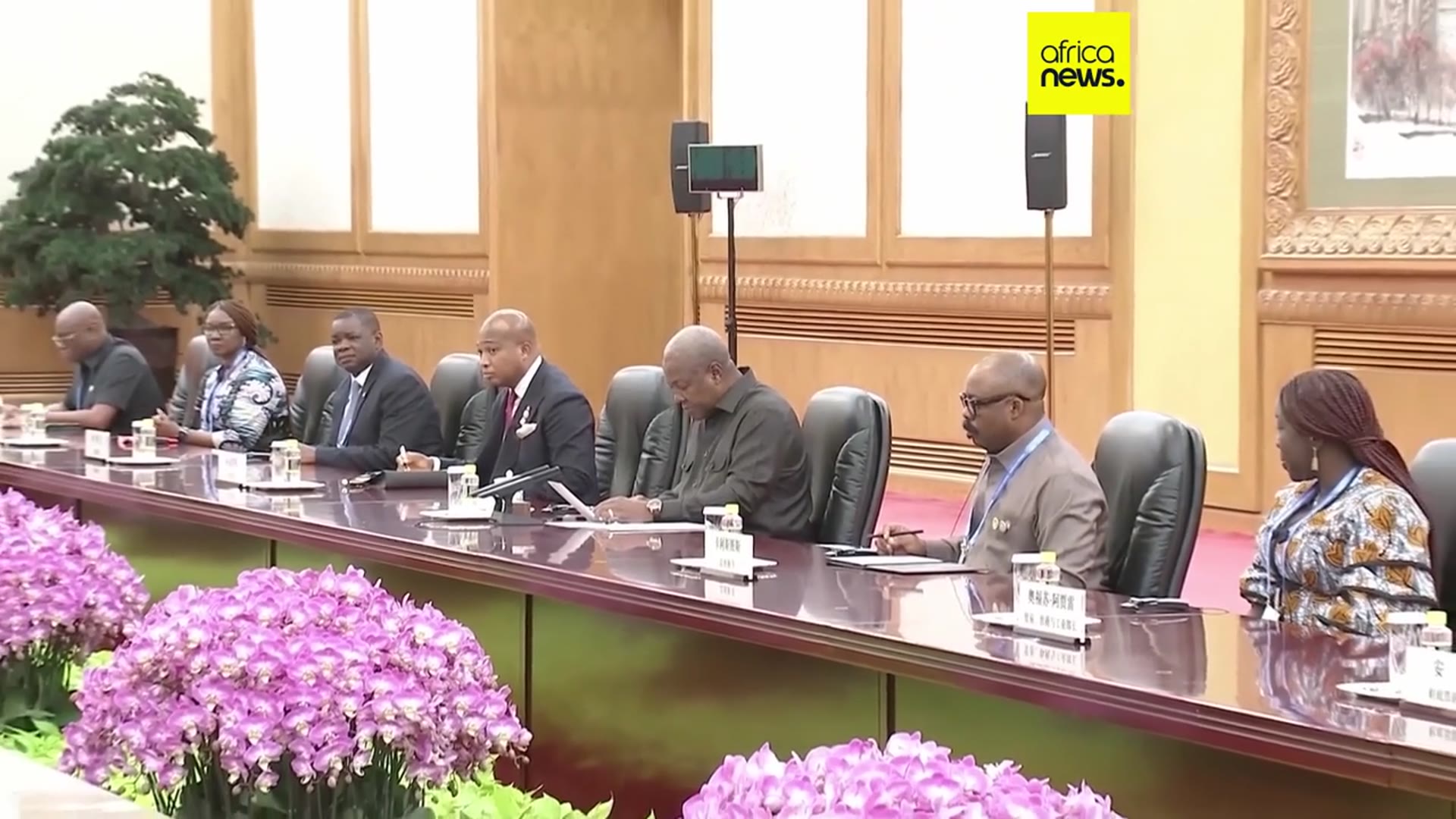 'Video thumbnail for China's Xi Jinping and Ghana's John Dramani Mahama pledge further bilateral relations'