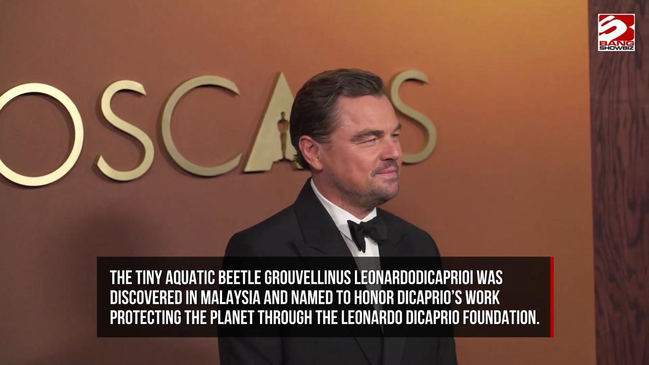 Video thumbnail for Celebrities who had newly discovered species named after them