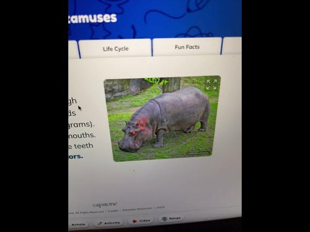 Video thumbnail for Computer