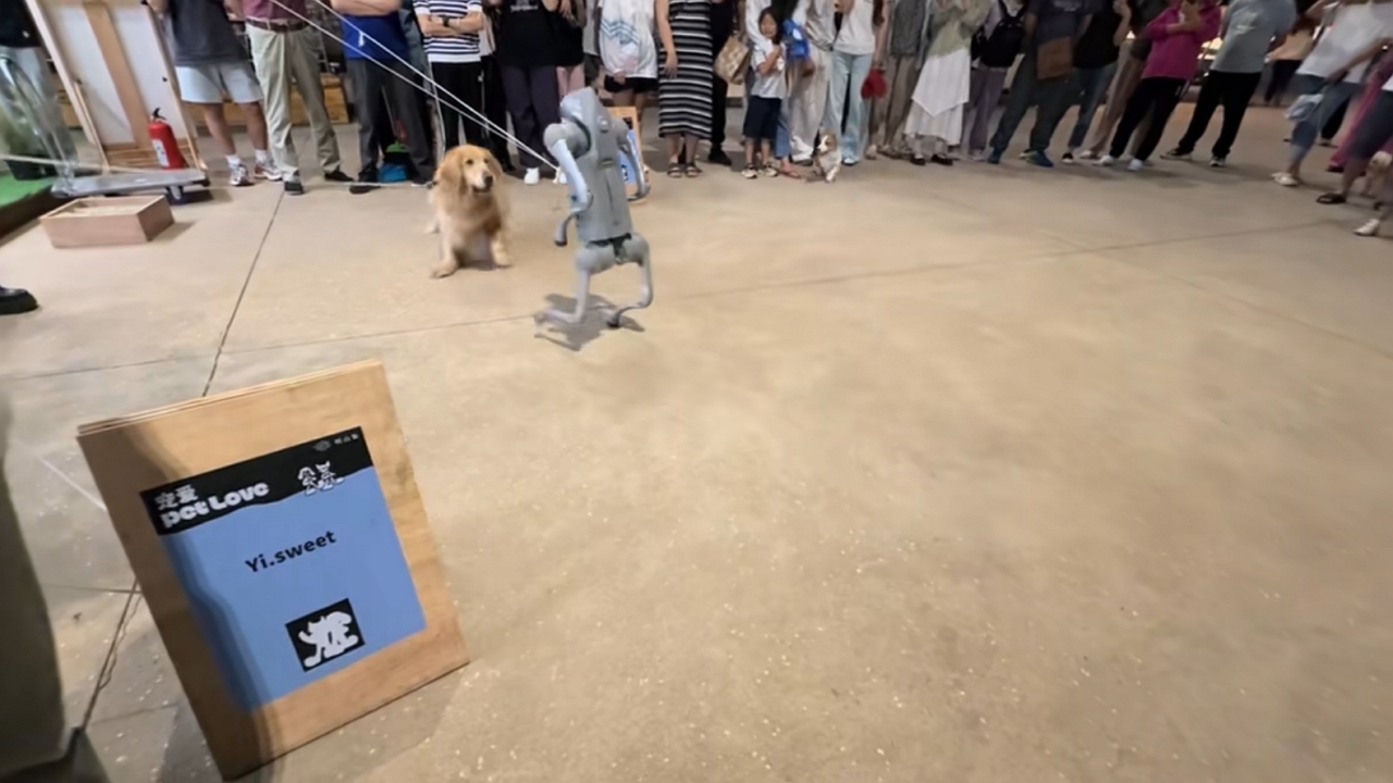 Video thumbnail for Dog encounters robot dog at exhibition in Zhejiang, China