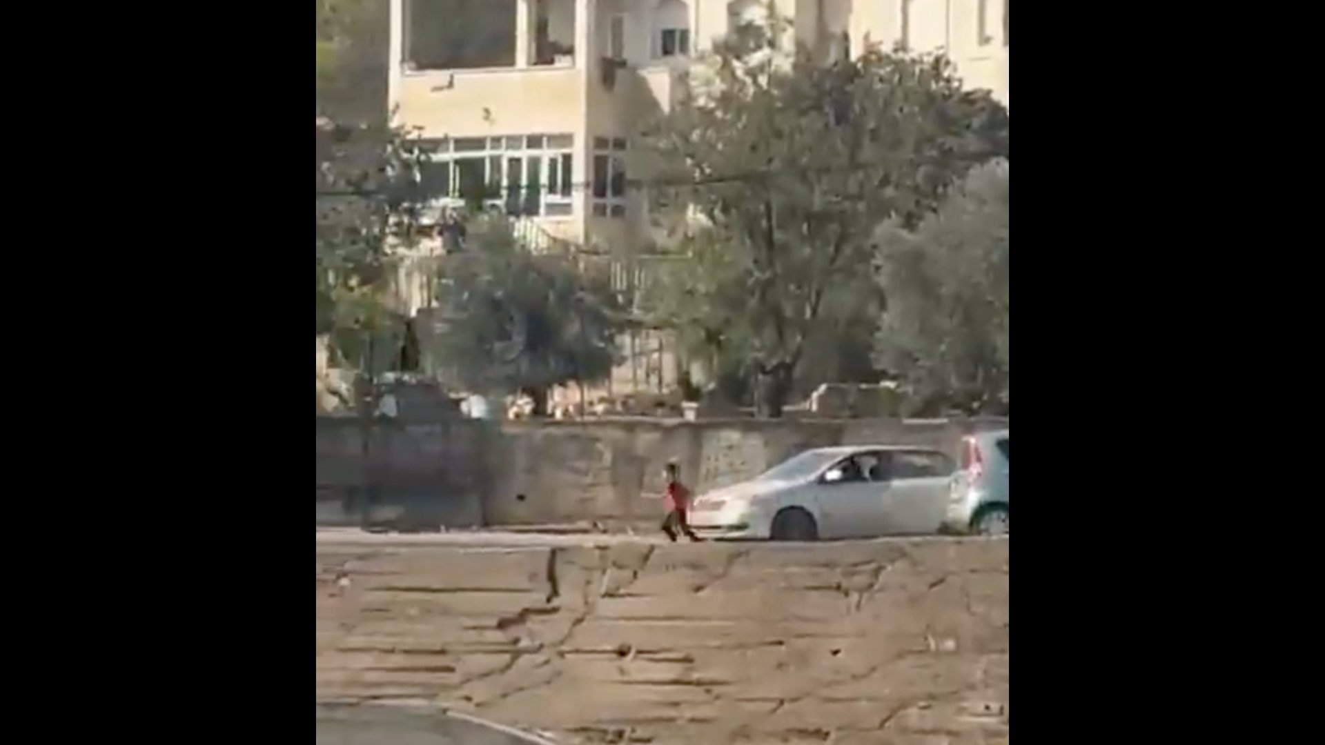 Video thumbnail for Child flees as Israeli settlers hijack car during pogrom