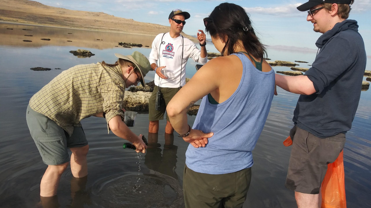 Video thumbnail for Unknown creature found at the bottom of Utah's Great Salt Lake; first of its kind in the US