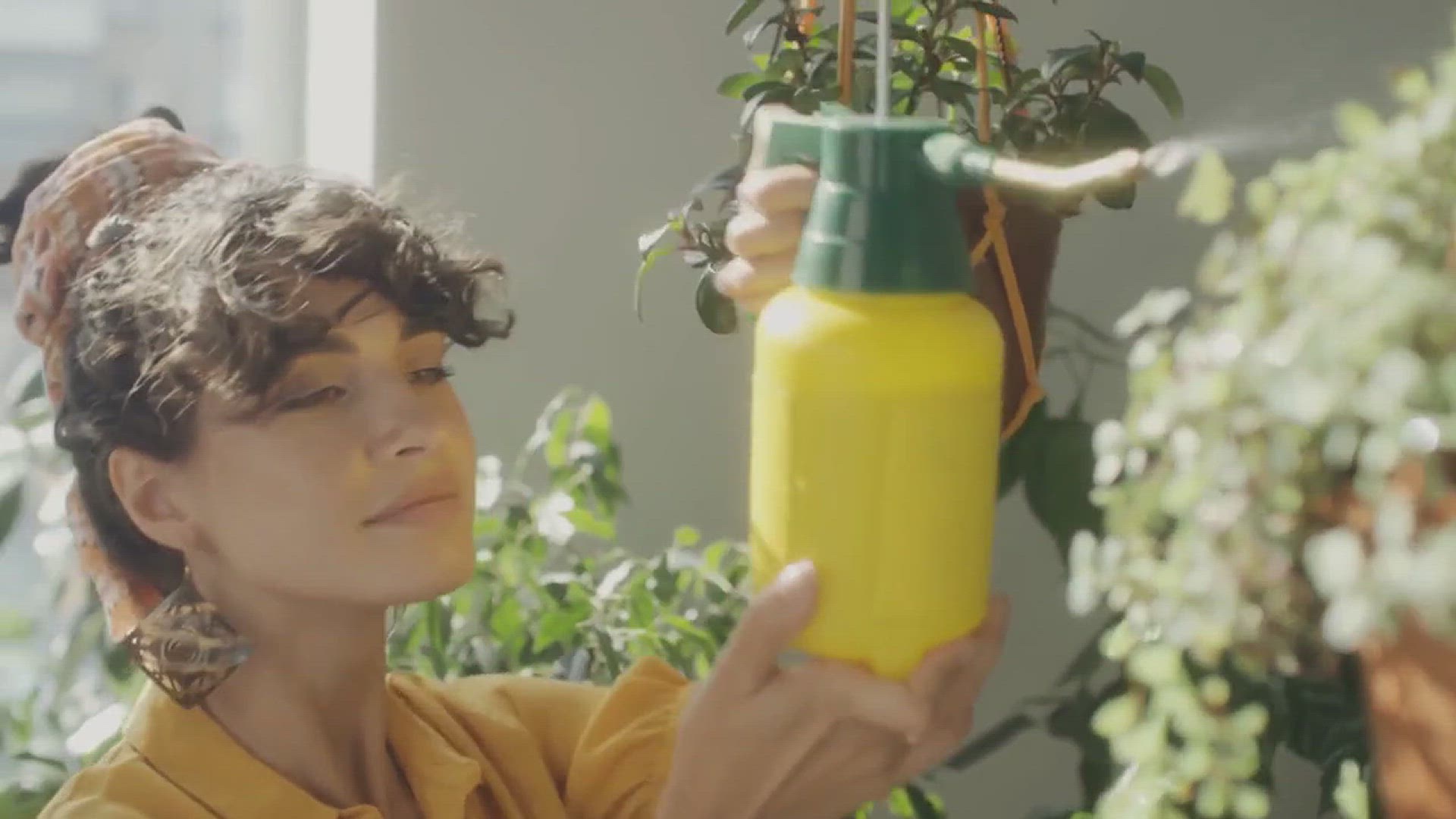 'Video thumbnail for DIY Plant-Friendly Bug Repellent Spray Ideas'