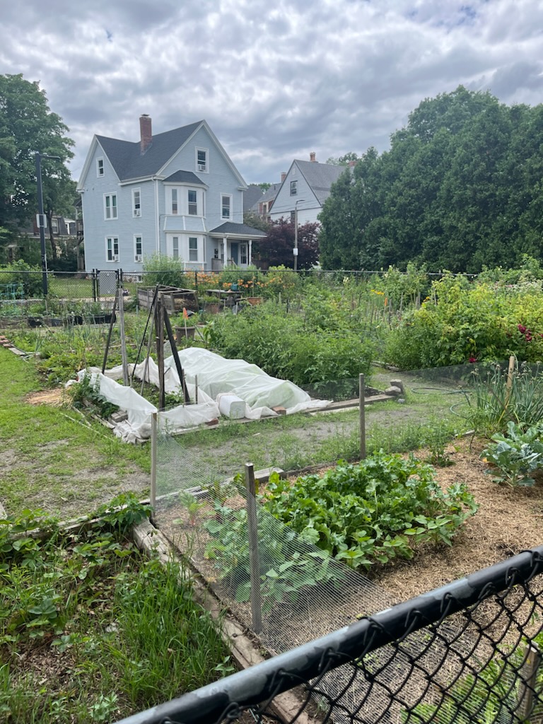 'Video thumbnail for Jamaica Plain: Boston's Diverse and Charming Neighborhood'