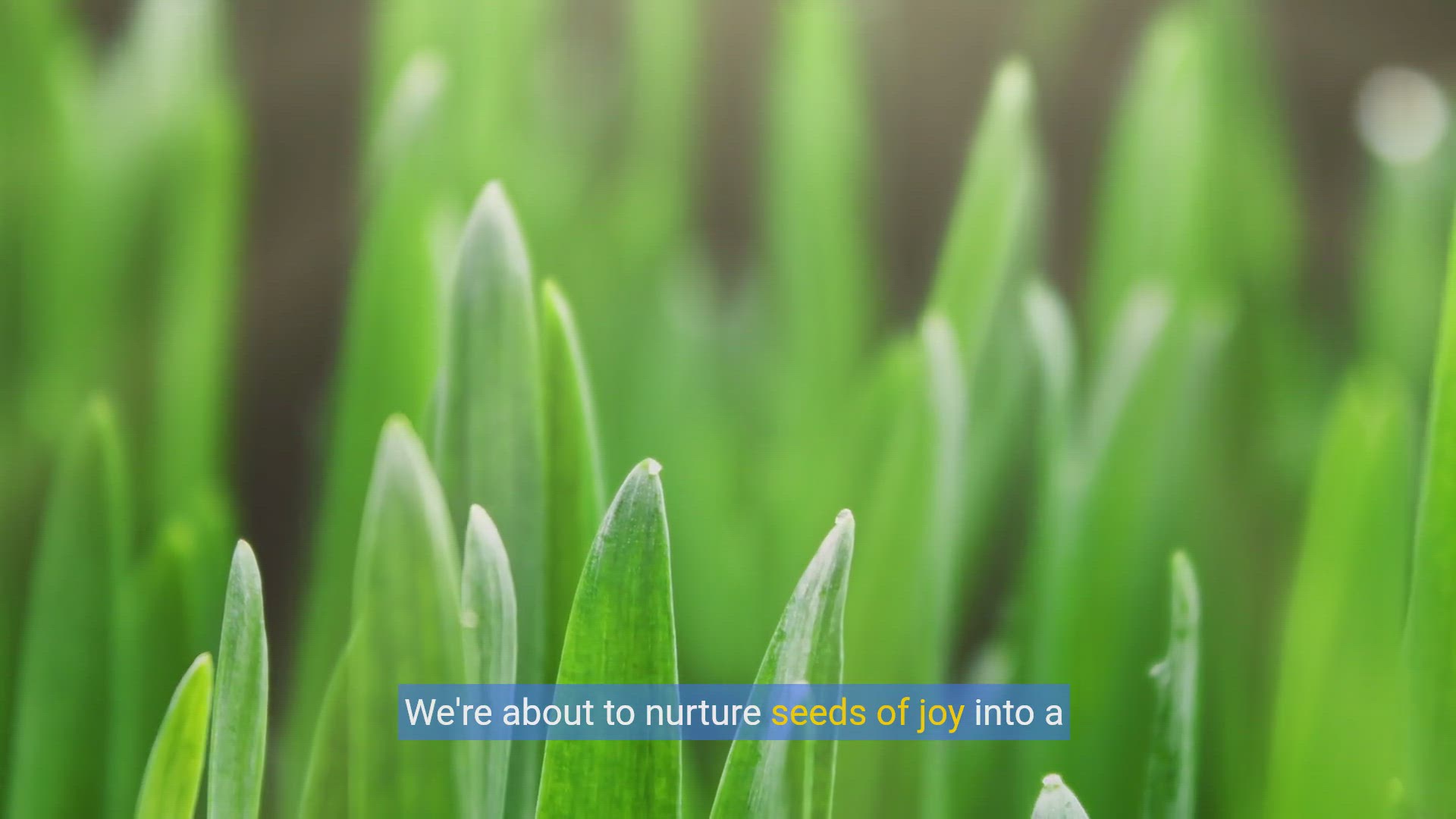 'Video thumbnail for 20 funny gardening jokes '
