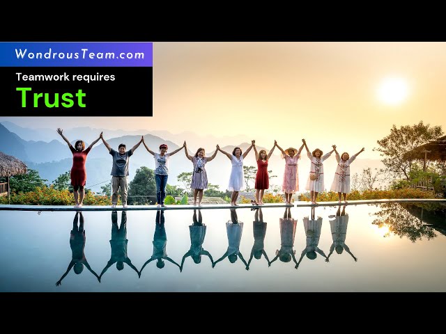 Video thumbnail for #Shorts - Teamwork requires Trust