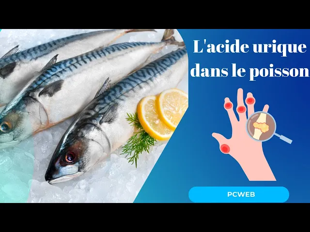 'Video thumbnail for L'acide urique dans le poisson-video blog'