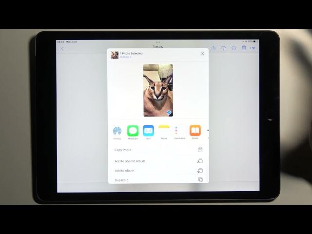 Video thumbnail for How to Hide Photos on iPad 2021 - Manage Gallery Settings on iPad 9th