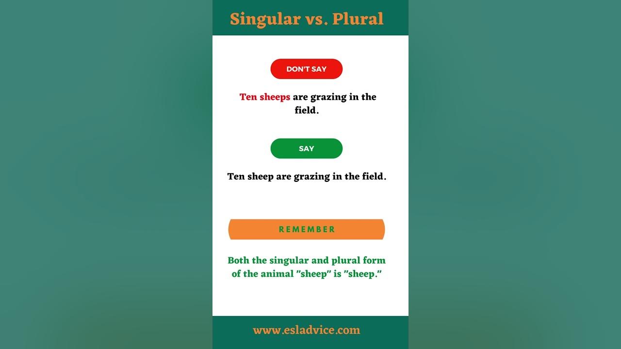 'Video thumbnail for Common Mistakes: Numbers #04 || Singular/Plural || English Grammar || Spoken English || ESL Advice'