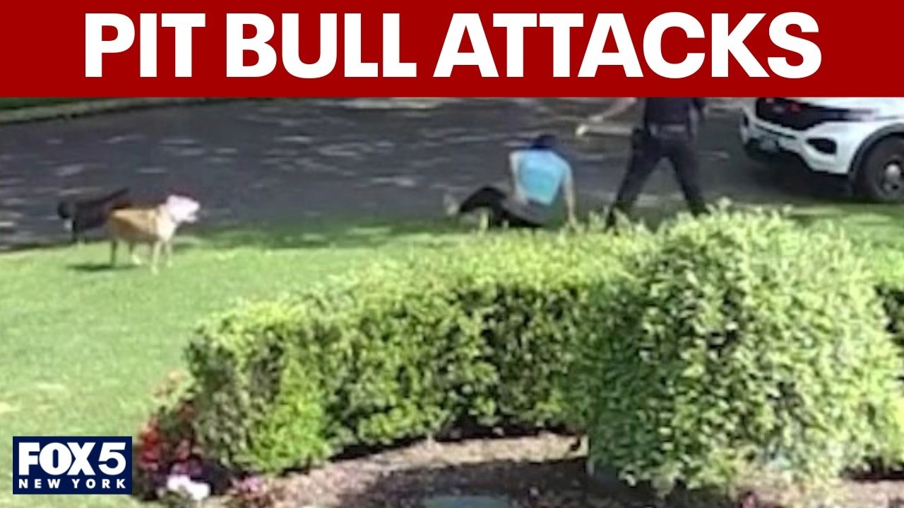 Video thumbnail for Neighbors concerned about pit bull attacks