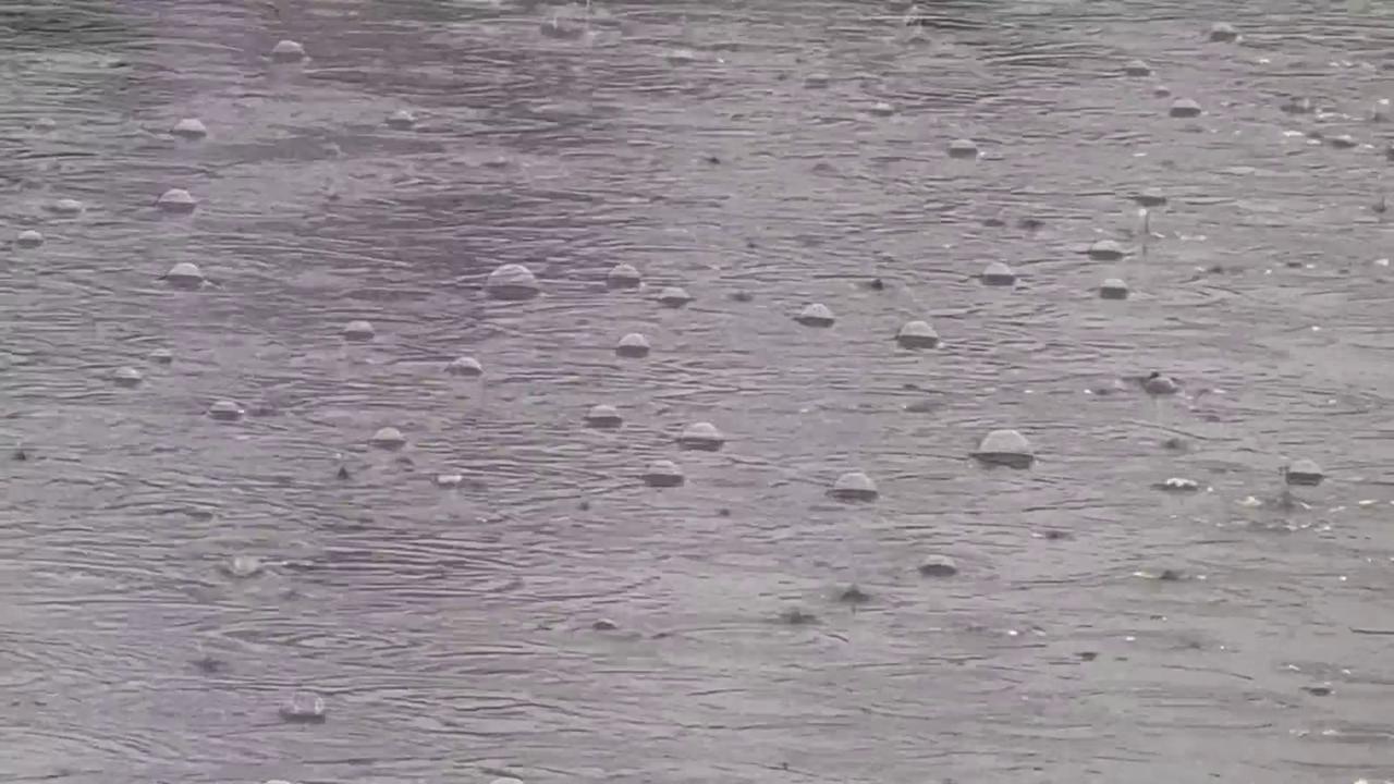 Video thumbnail for US: Heavy Rainfall Leads to Mild Flooding in Rochester.