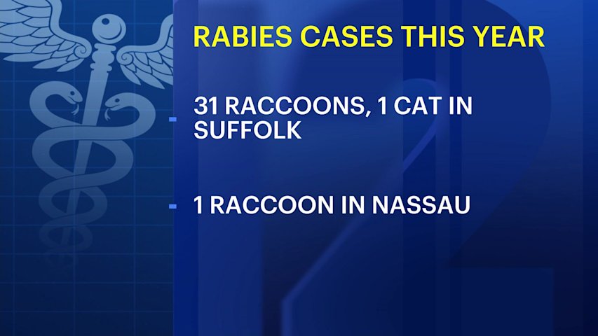 Video thumbnail for Two rabid raccoons reported in Kings Park