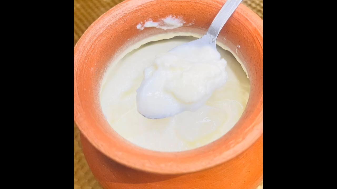 Video thumbnail for गर्मियों मे दही ऐसे जमाए तो खट्टा भी नहीं होगा | How to make thick curd #youtubeshorts #shorts