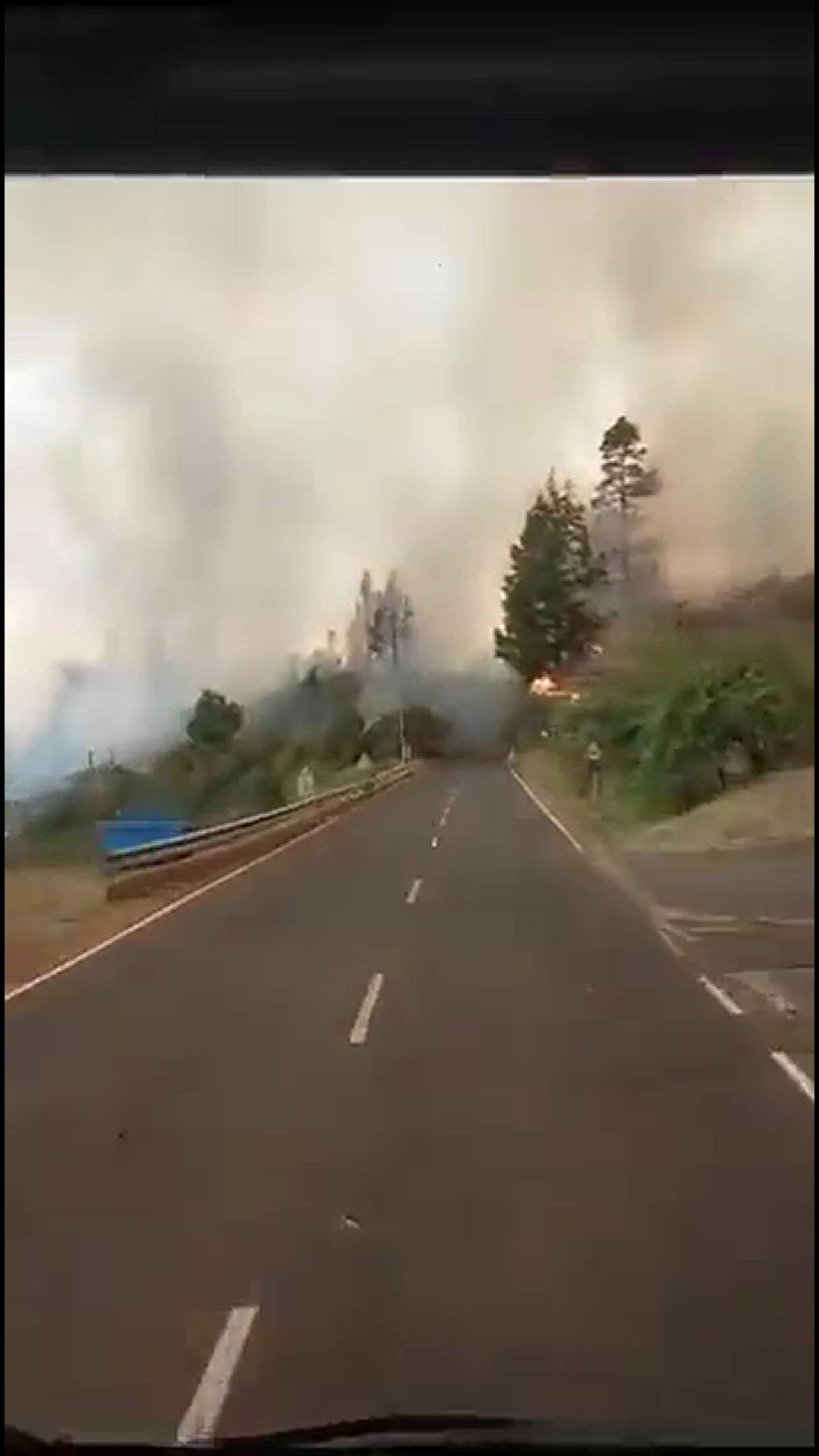 'Video thumbnail for Feuer in Puntagorda - Waldbrand La Palma 2023'