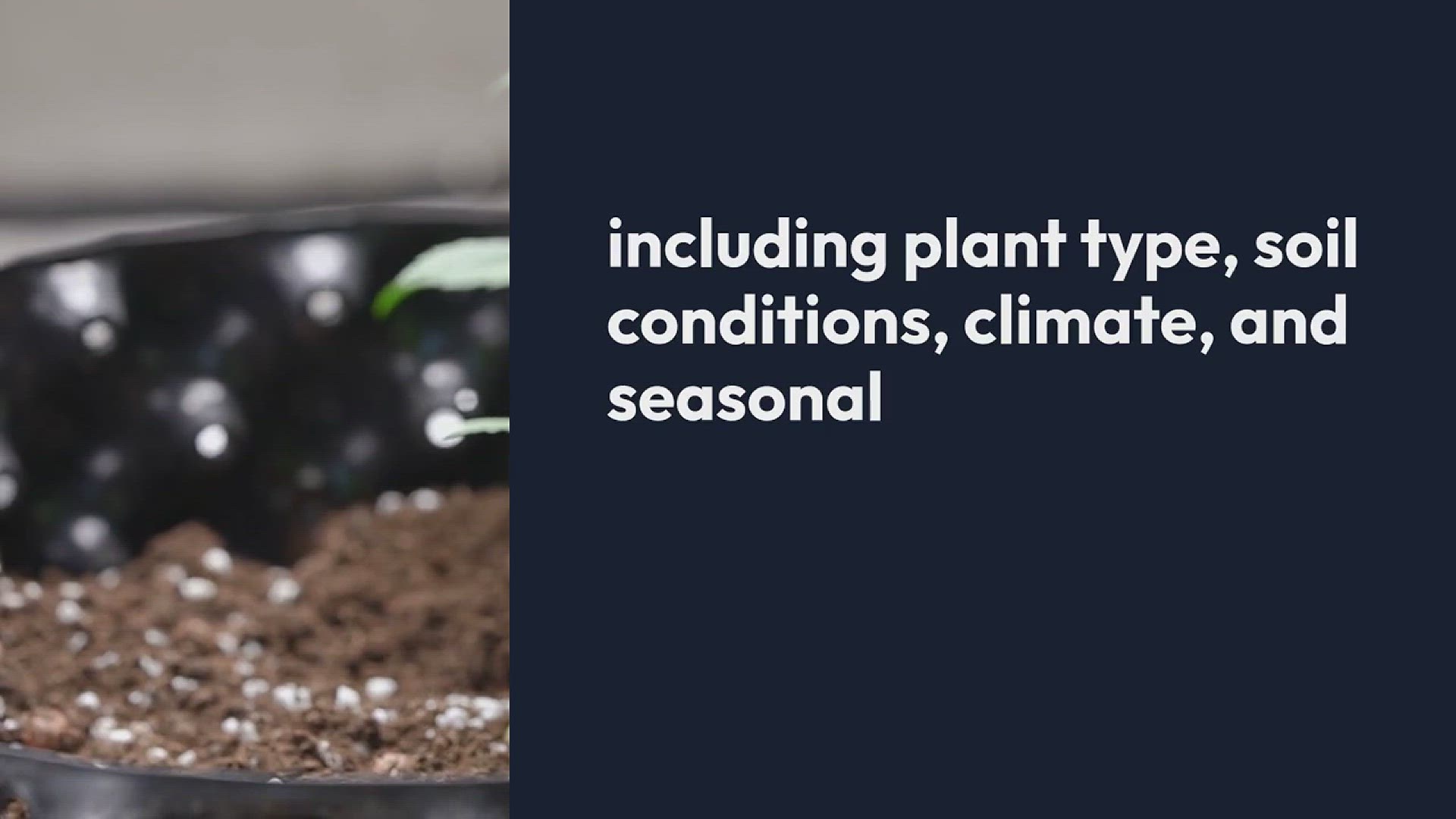 Video thumbnail for Best Watering Schedules Based on Plant Needs