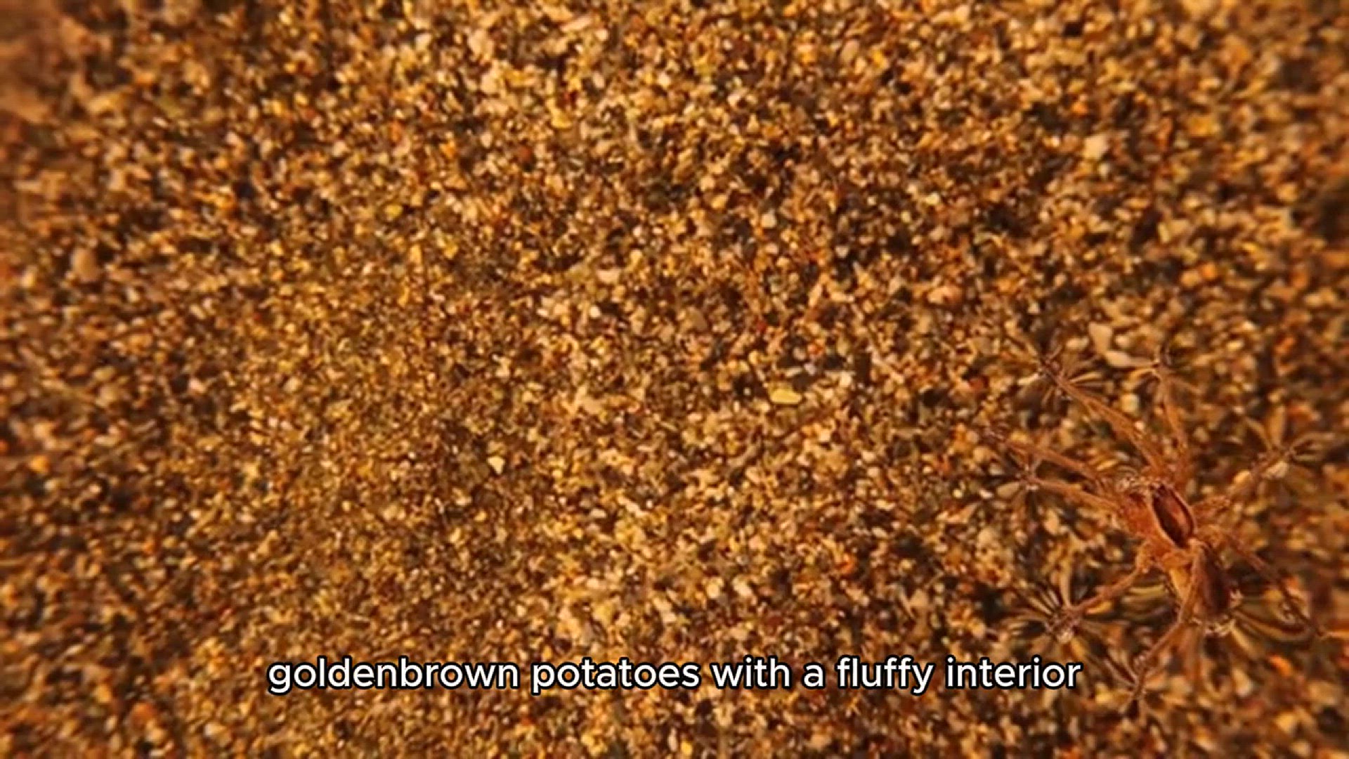 Video thumbnail for Tater Tots Recipe