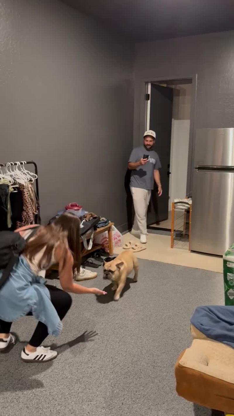 Video thumbnail for Dog Overjoyed as Parents Return after Two Weeks Away