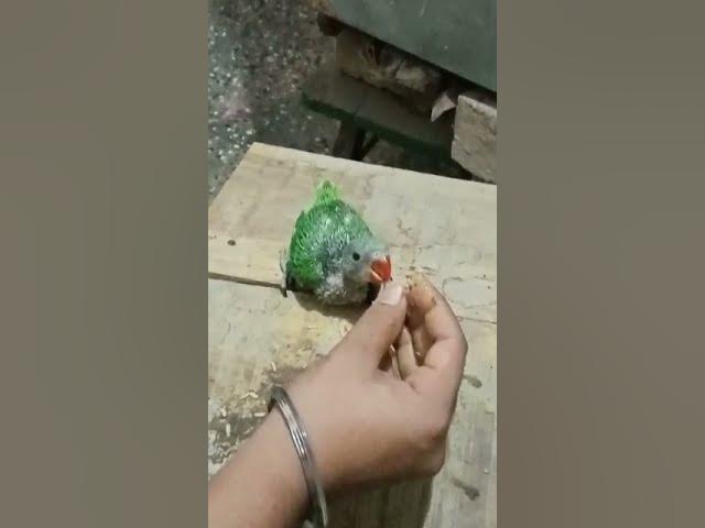 Video thumbnail for like comments subscribe