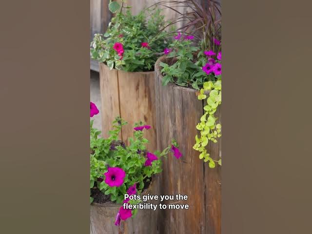 Video thumbnail for 10 Inspiring Small Garden Ideas for a Big Impact! #smallgardenideas #gardeninspiration