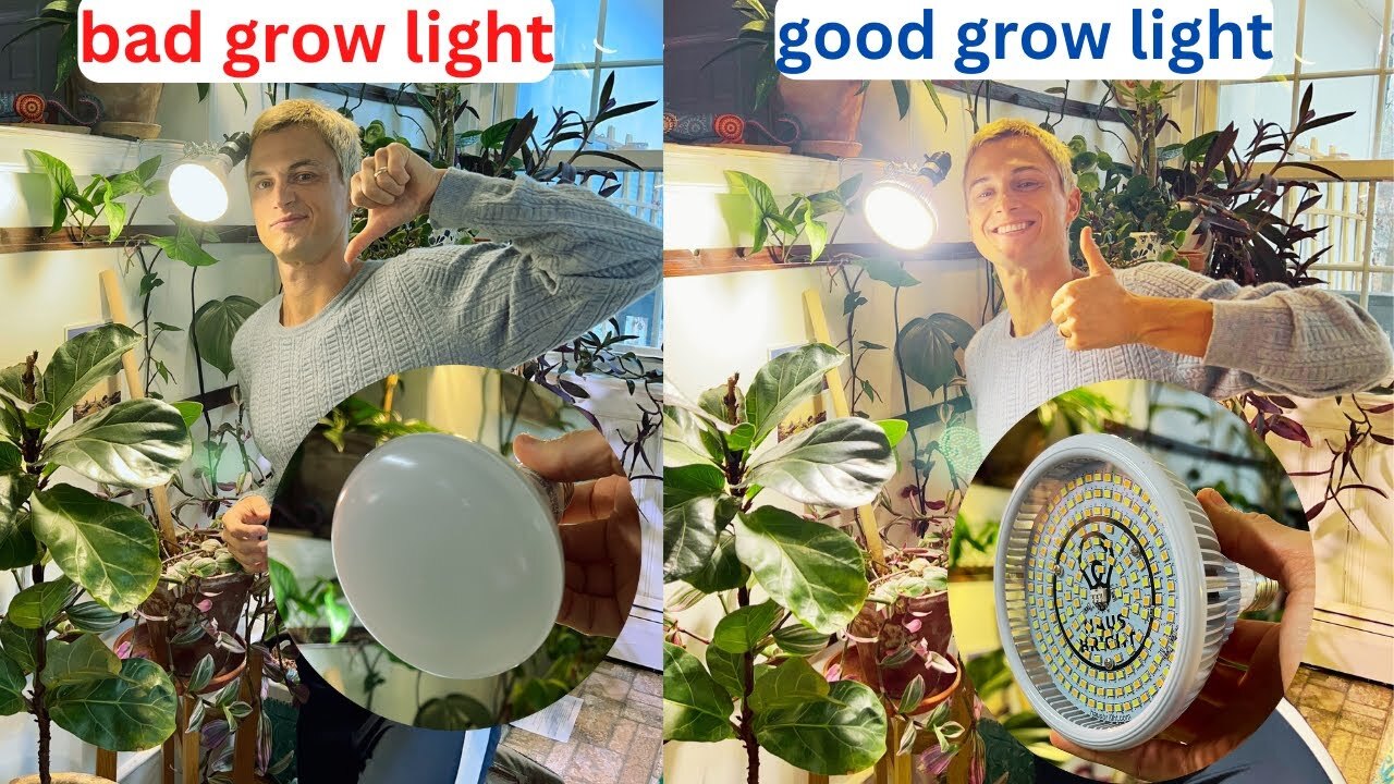Video thumbnail for Great Grow Light Bulb for House Plants - Haus Bright Smart LED - Review