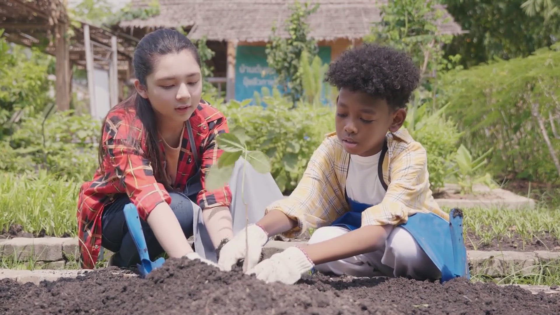 'Video thumbnail for How to Compost the Garden Soil'