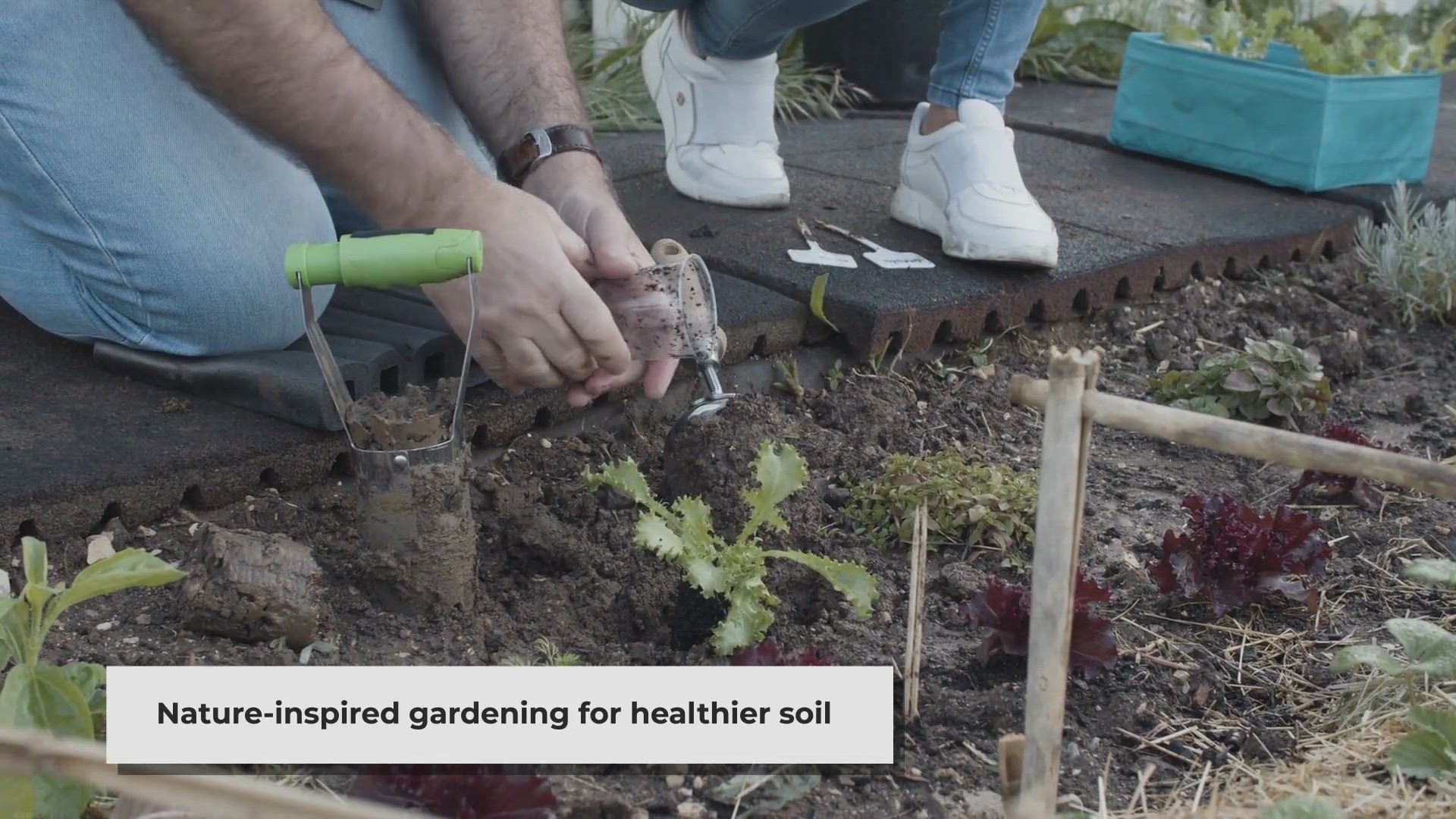 Video thumbnail for Back to Eden Gardening: A Natural and Sustainable Approach