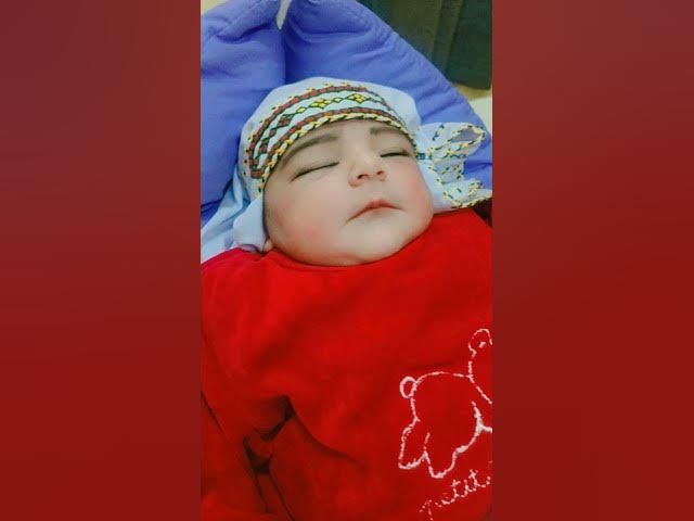 Video thumbnail for January 31, 2025