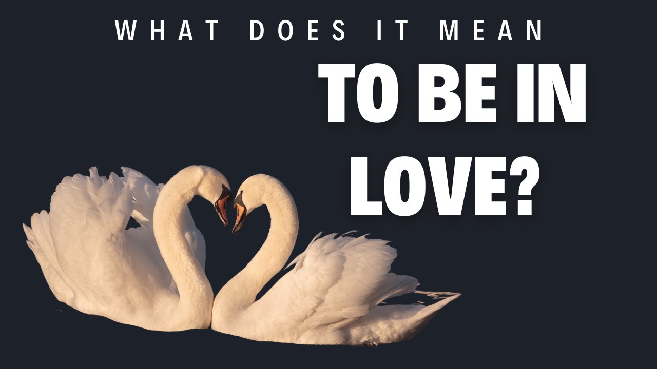'Video thumbnail for What does it mean to be in love?'