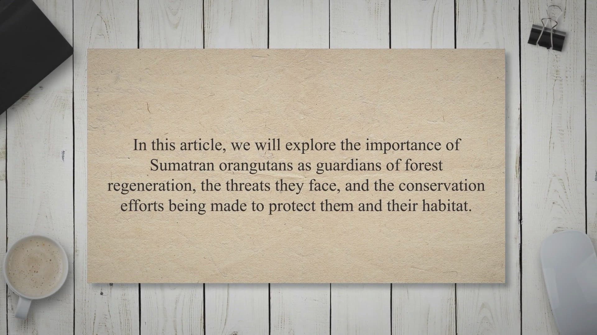 Video thumbnail for Guardians of the Forest: The Vital Role of Sumatran Orangutans in Regeneration and Conservation Efforts
