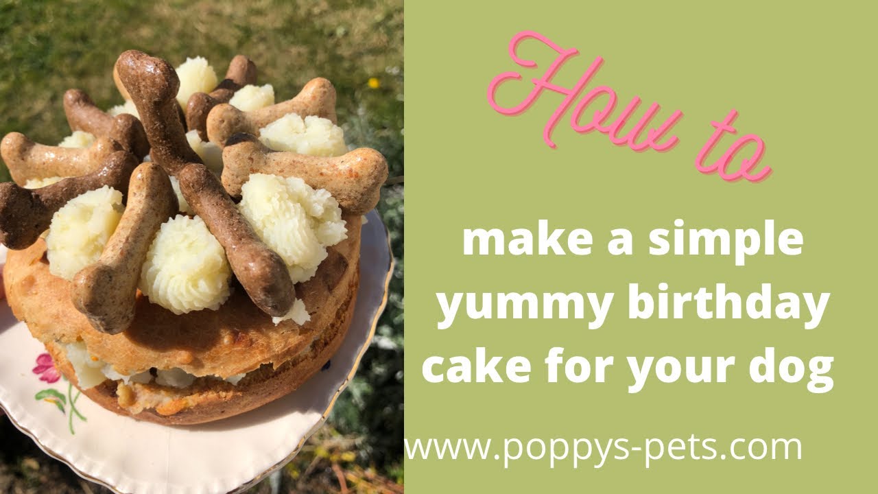 'Video thumbnail for Recipe for a Dog Safe Birthday Cake:  What Is the Toxic Ingredient You Must Not Use?'