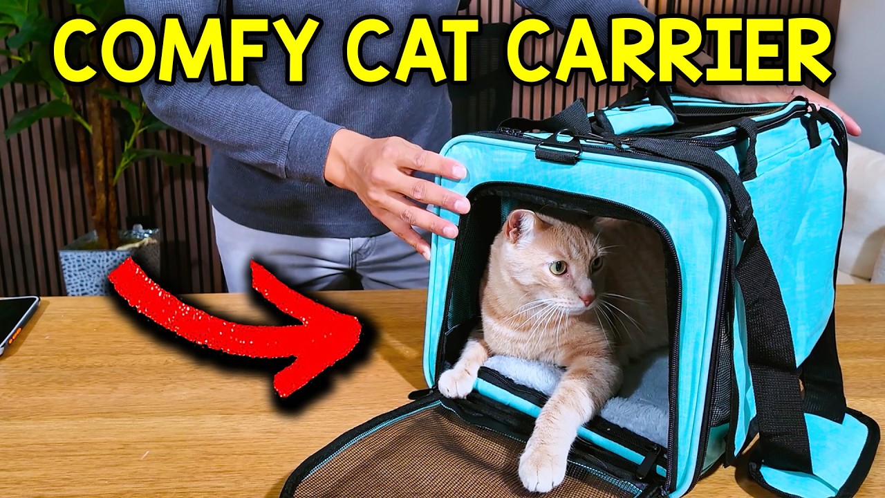 Video thumbnail for What To Expect With The SMBFKGK Soft Sided Cat Carrier (Is It WORTH IT? )