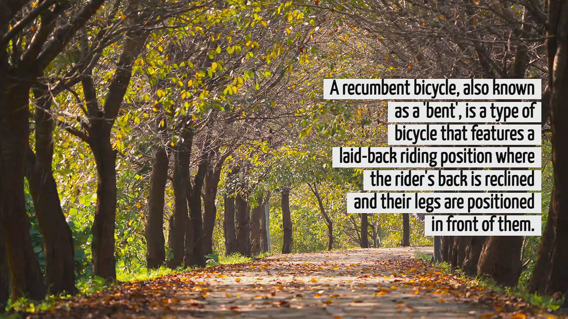 Video thumbnail for What Is A Recumbent Bicycle