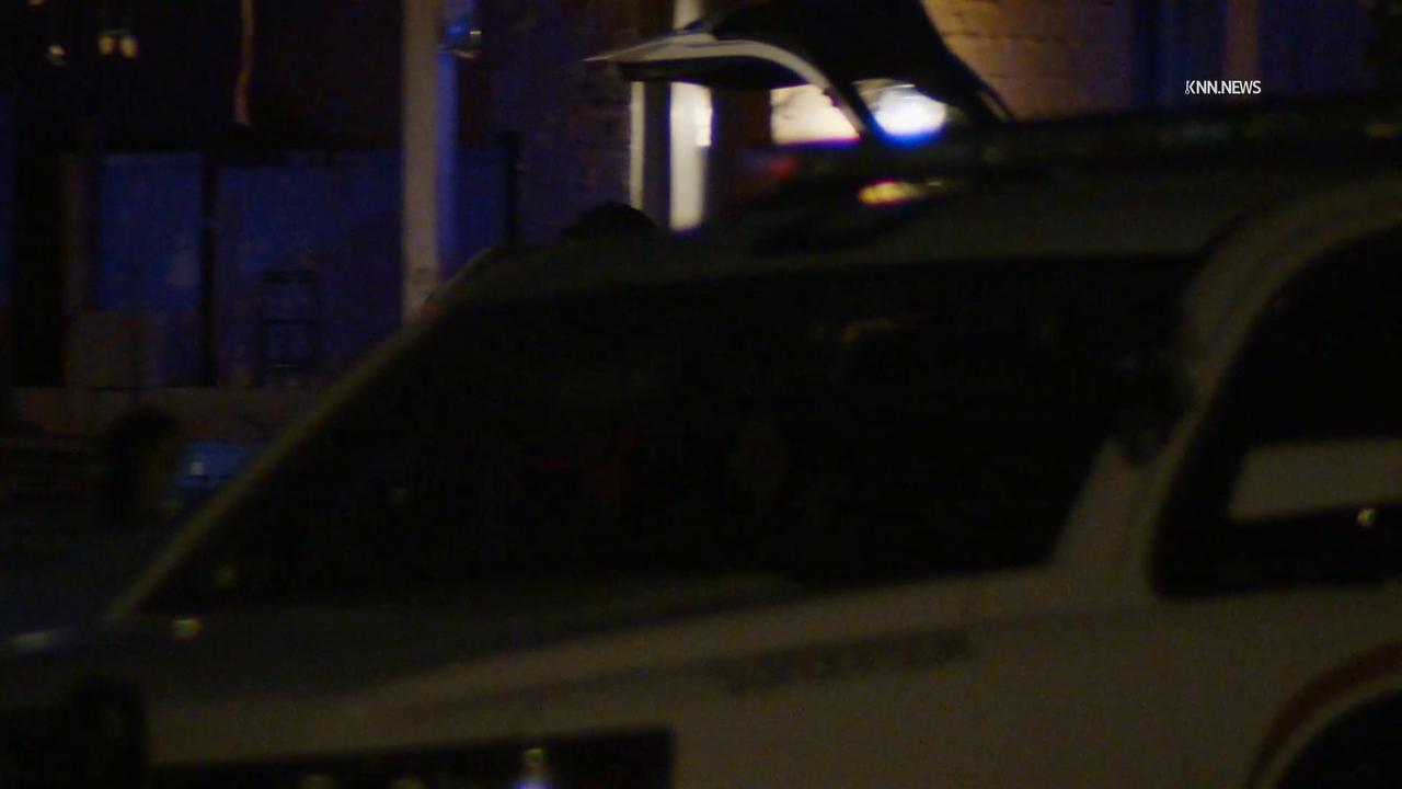 Video thumbnail for US, Phoenix: Phoenix Police Shoot Dog During Search For Outstanding Suspect.