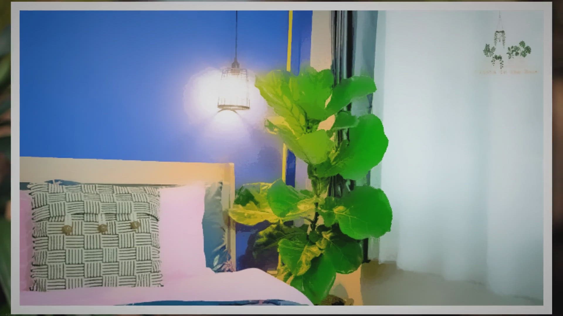 'Video thumbnail for A Guide to Fiddle Leaf Fig Decor Ideas for a Trendy Home'