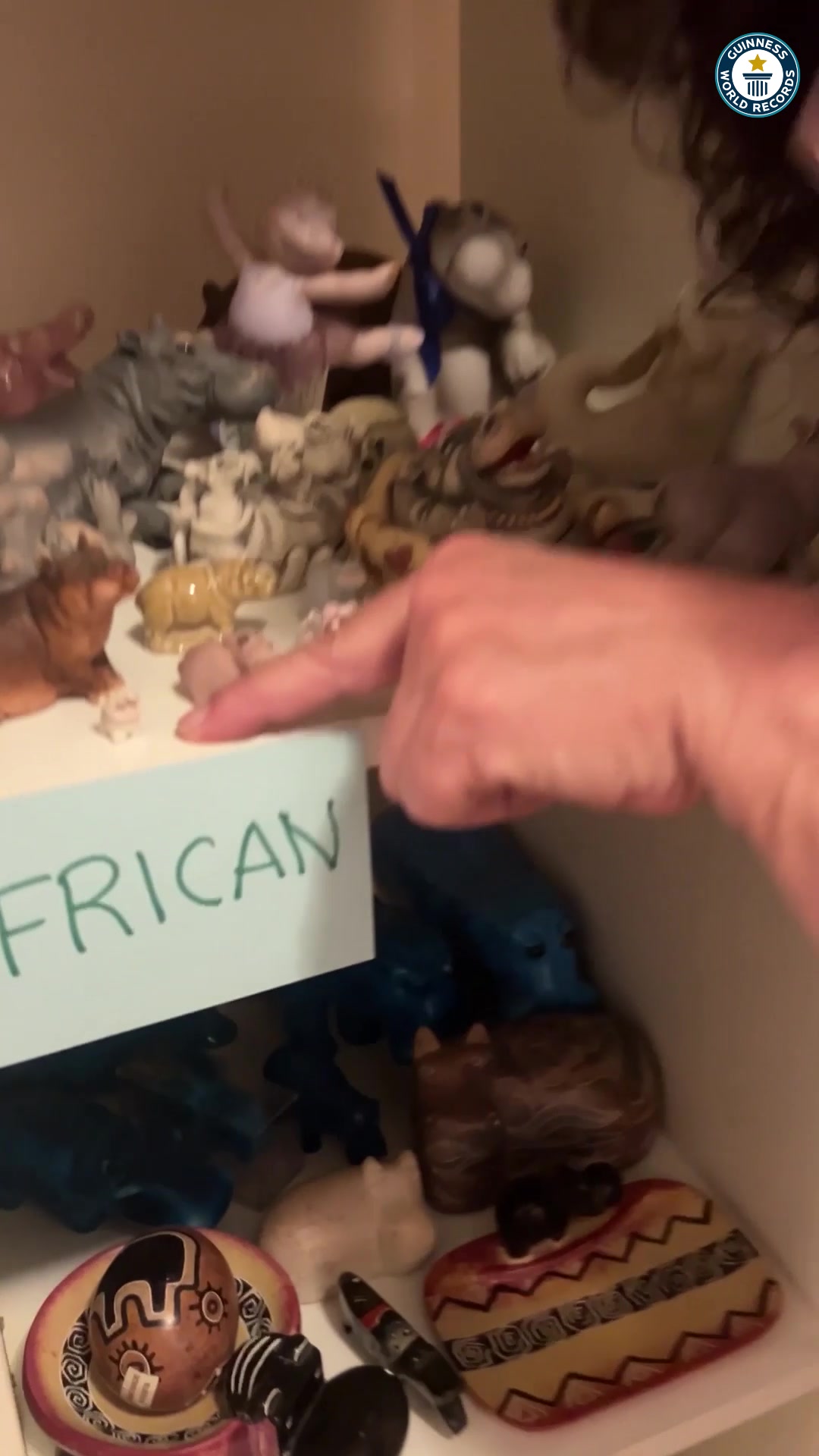 Video thumbnail for Largest collection of hippopotamus related items - 1,068 items held by Sheri Lynch