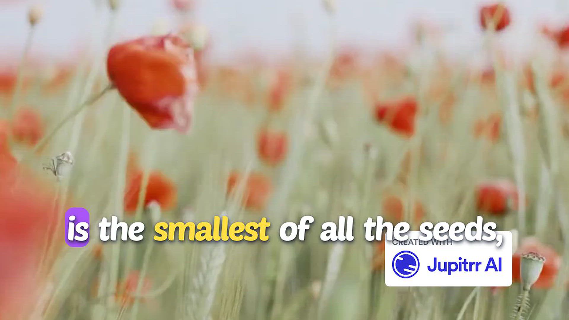 'Video thumbnail for The Gospel of Matthew - The Parable of the Mustard Seed| Matthew Chapter 13: 31 - 32'