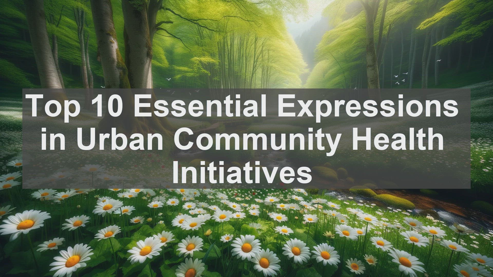 'Video thumbnail for Top 10 Essential Expressions in Urban Community Health Initiatives'