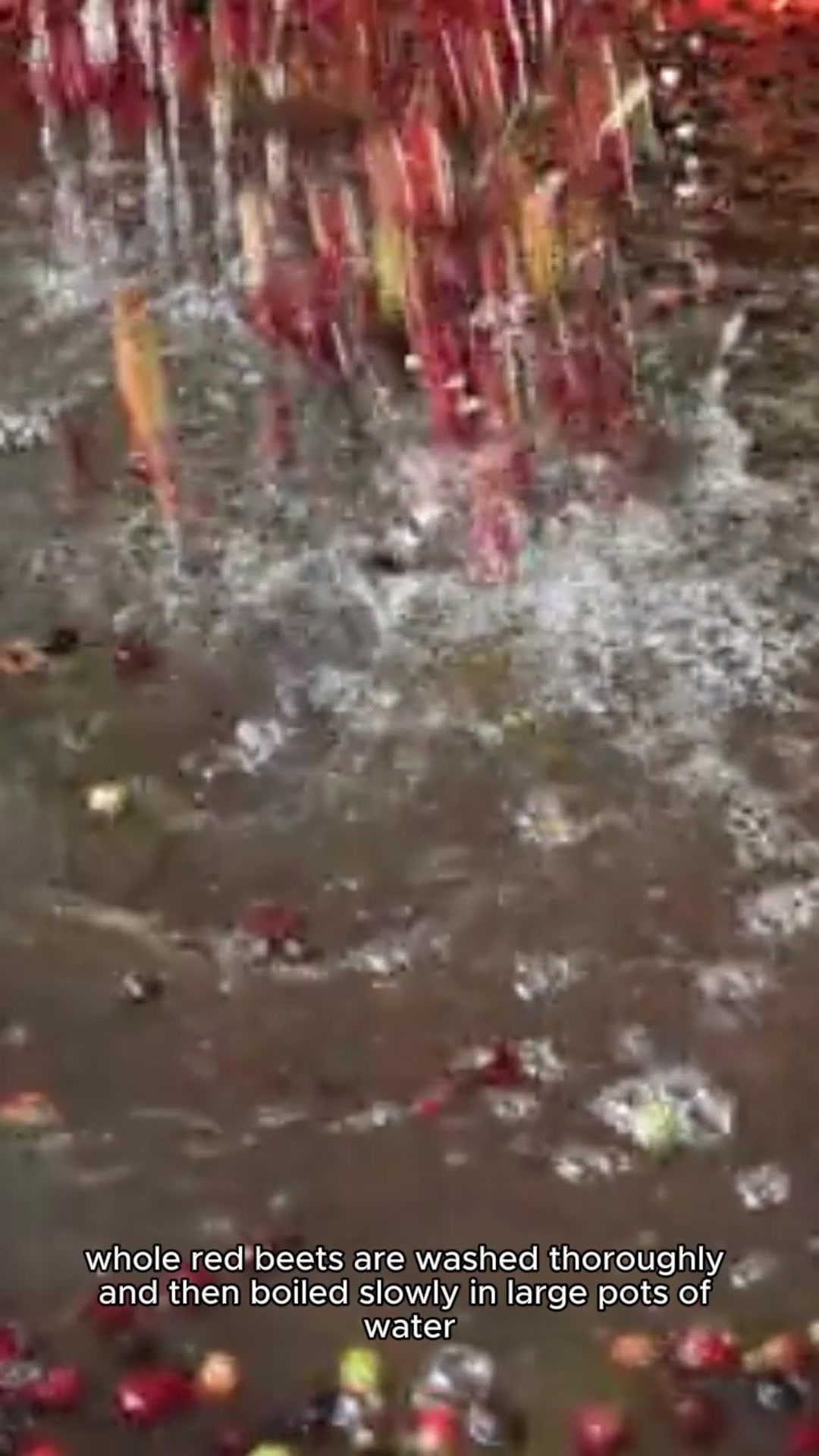 Video thumbnail for laboo