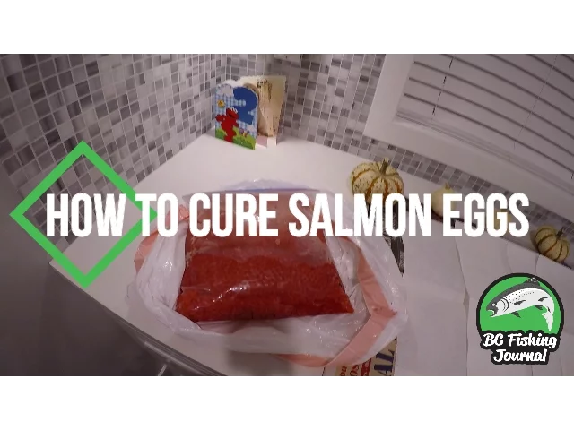 Video thumbnail for How To Cure Salmon Eggs