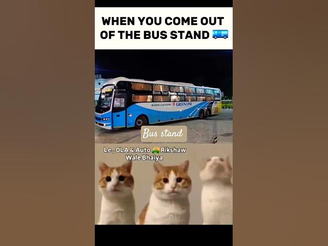 Video thumbnail for Bus station scenes #memes