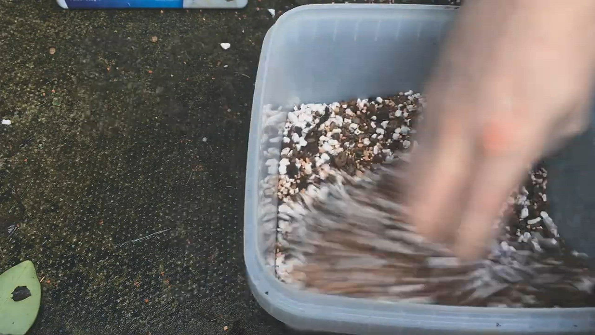 Video thumbnail for How I Make Bonsai Soil