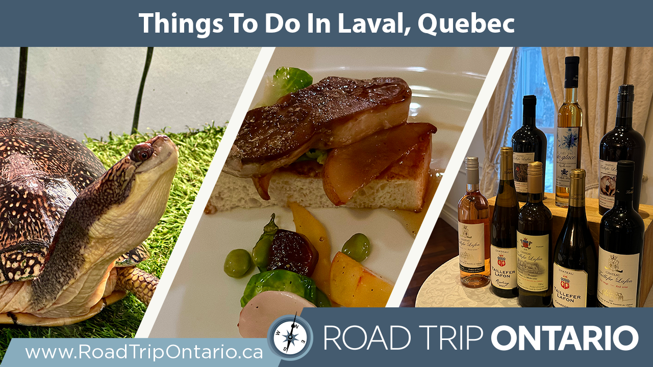 'Video thumbnail for Things To Do In Laval'