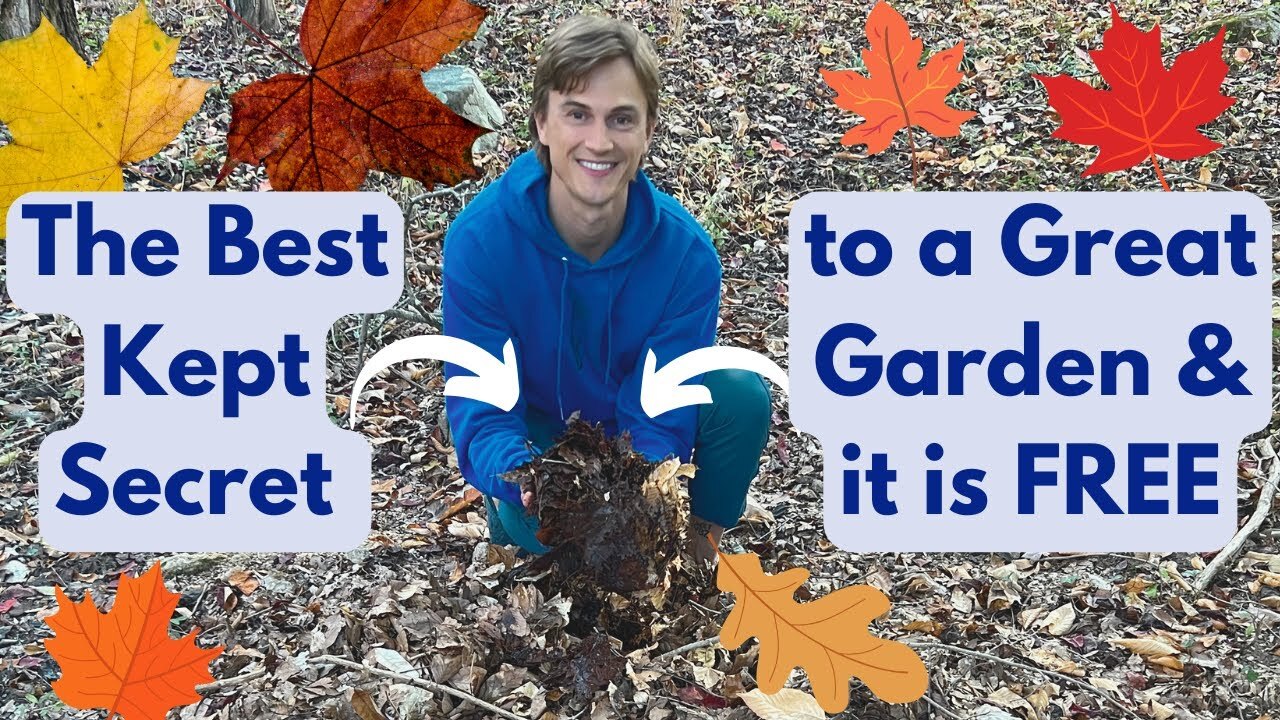 Video thumbnail for How to Make LEAF MOLD Compost- What to do with your Fallen Leaves - Improve Poor Soil for Free