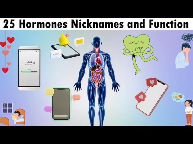 Video thumbnail for 25 Hormones, Nicknames and Functions|| Love Hormone, Sleep Hormone?
