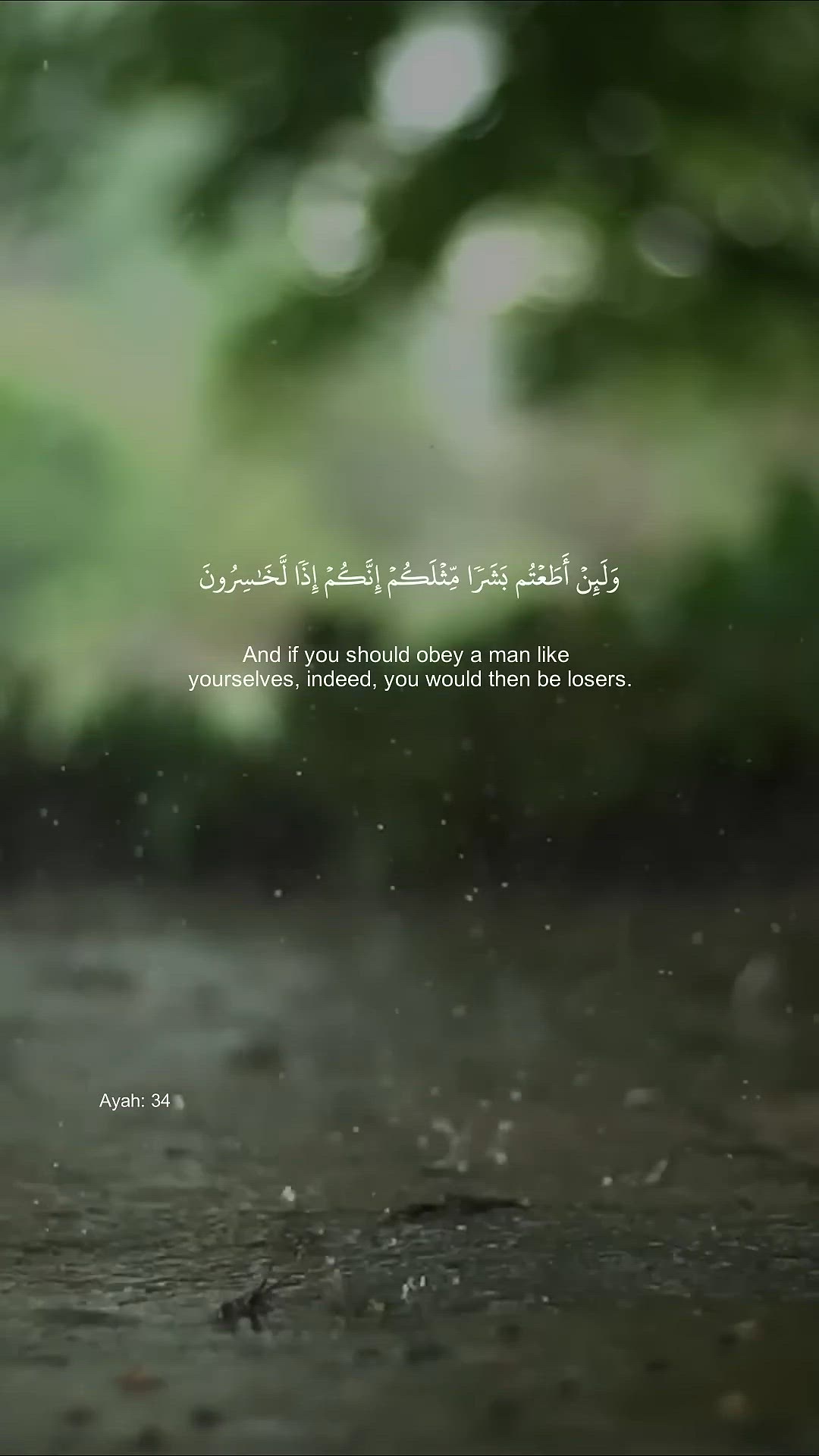 Video thumbnail for Surah-Al-Mu-minūn-Ayah-34-41-by-Sheikh-Y_7