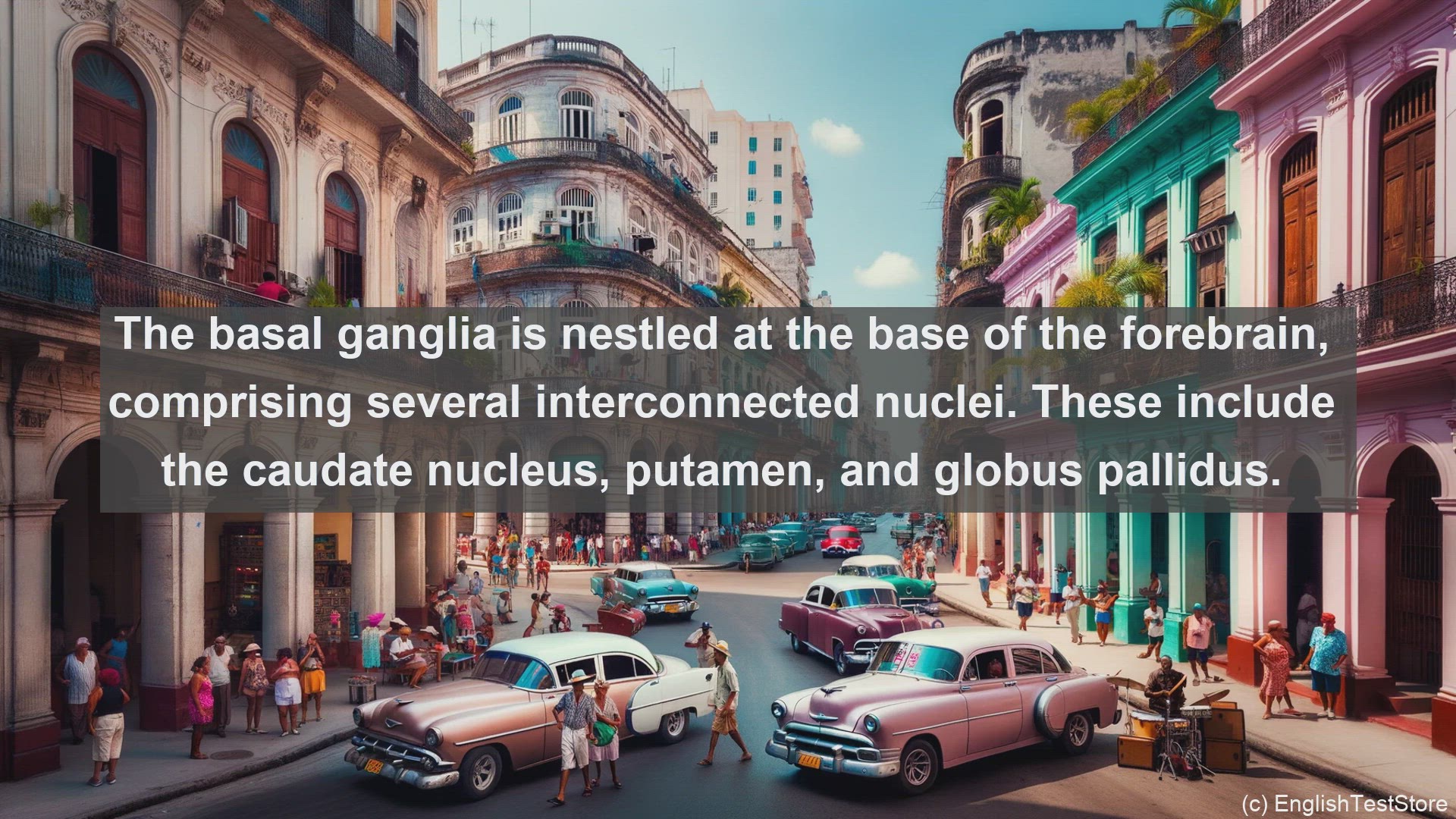'Video thumbnail for Basal ganglia in science  definition and examples'