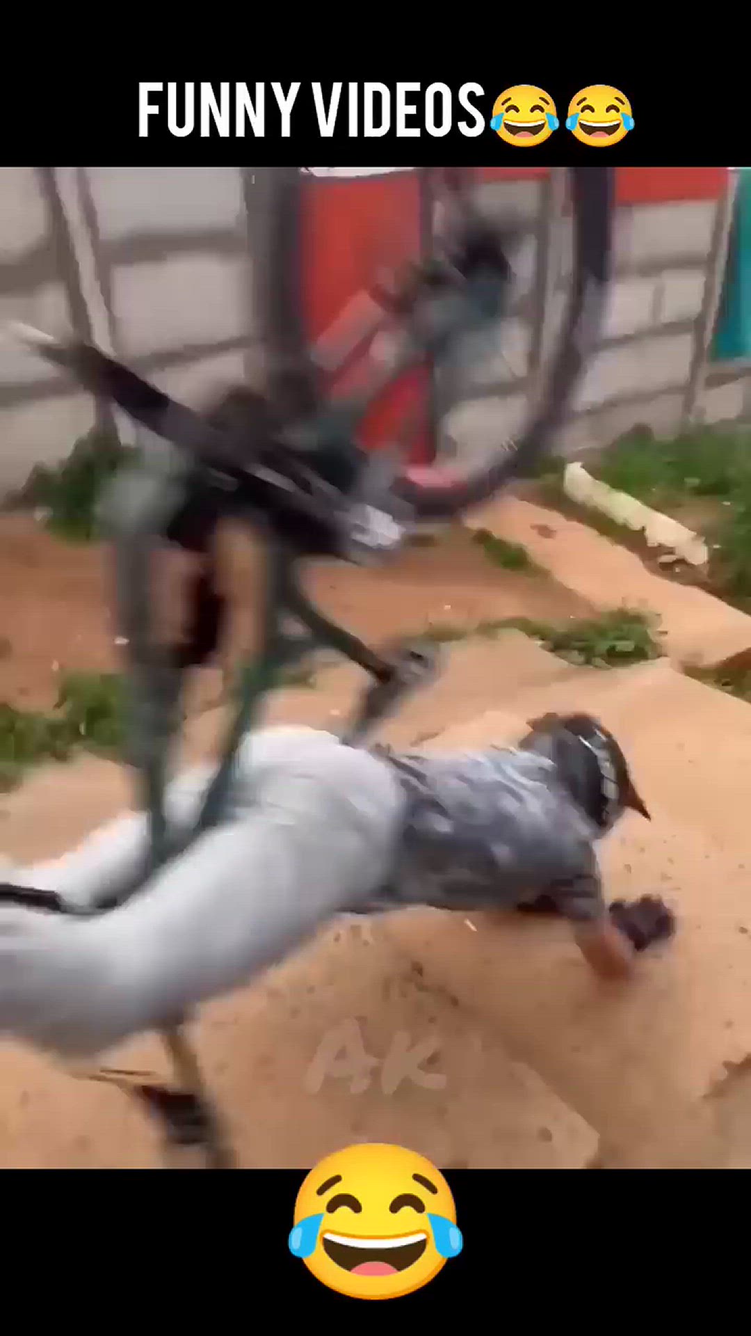 Video thumbnail for The end 🤣🤣 7 #shorts #funny #epicfails #funnyfails #fails