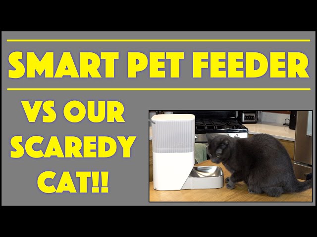 Video thumbnail for Nooie Smarthome Pet Feeder -- DEMO & REVIEW